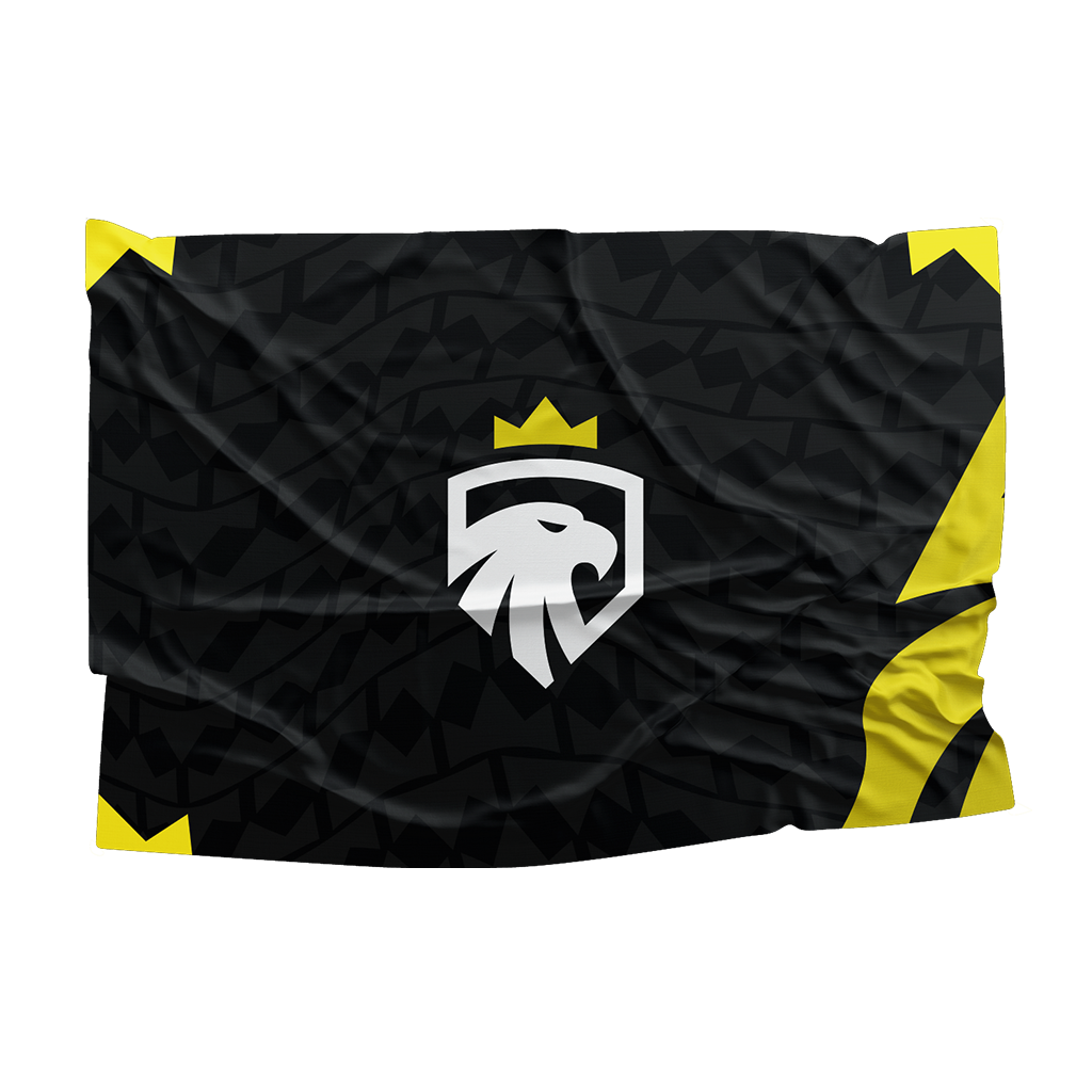 Drapeau Riix E-sport