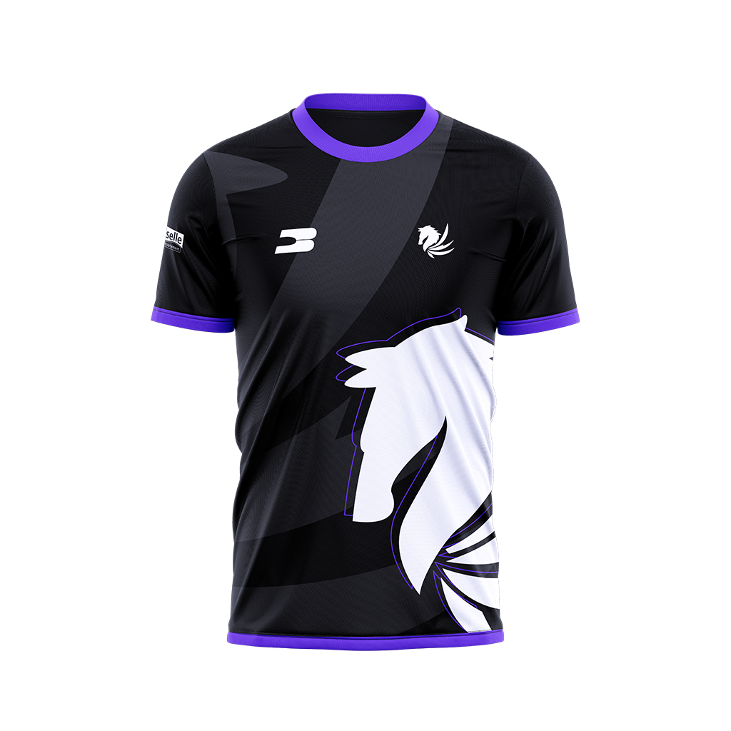 Maillot PEGASY E-SPORT