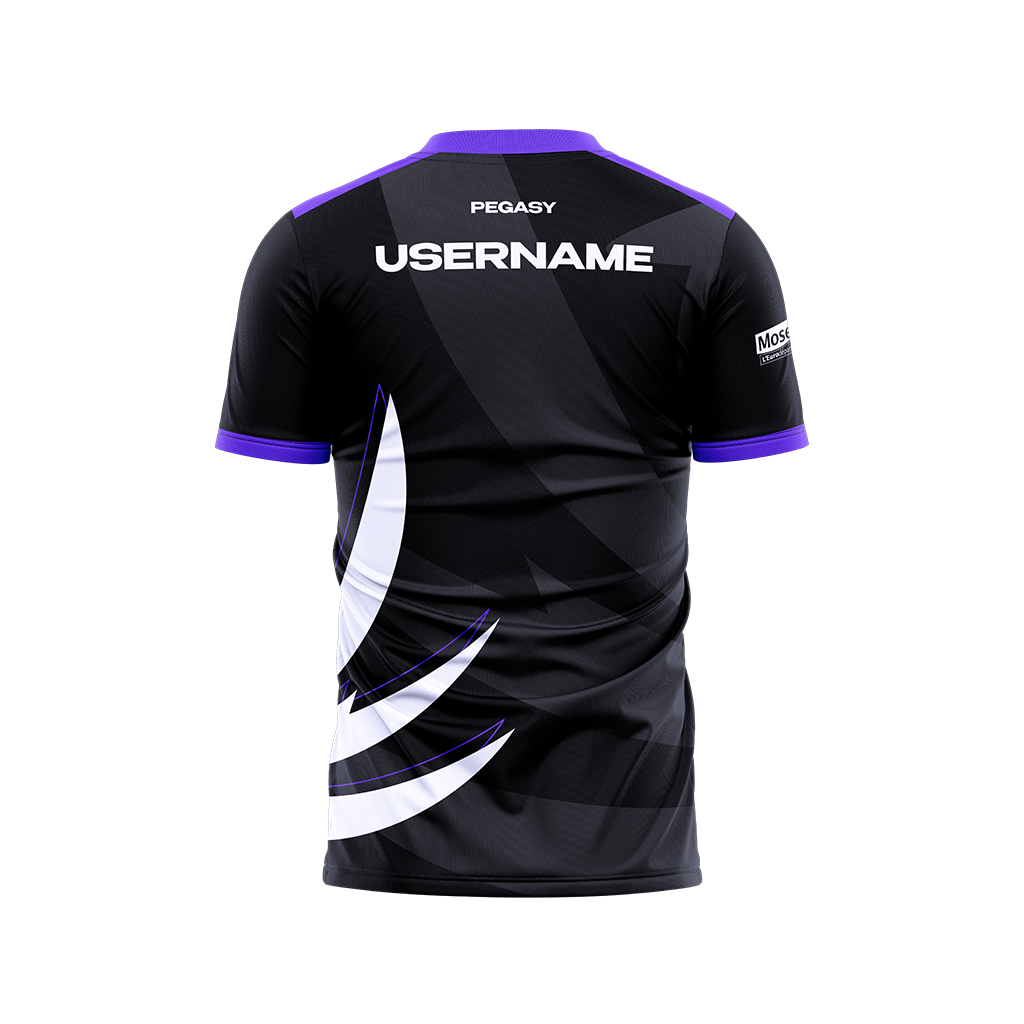 Maillot PEGASY E-SPORT